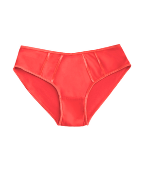 Rouge Cotton Brief